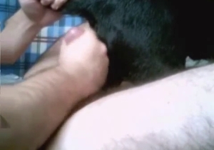 Dude's dick is a nice gift for a sensual doggy