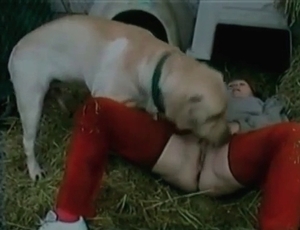 Total whore is utterly banged by a really horny dog