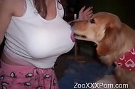 Zoo XXX Porn